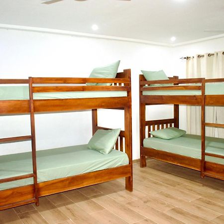 Tree House Hostel Тамале Екстер'єр фото
