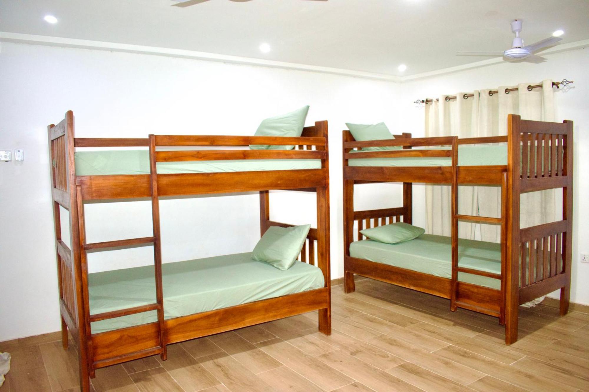 Tree House Hostel Тамале Екстер'єр фото
